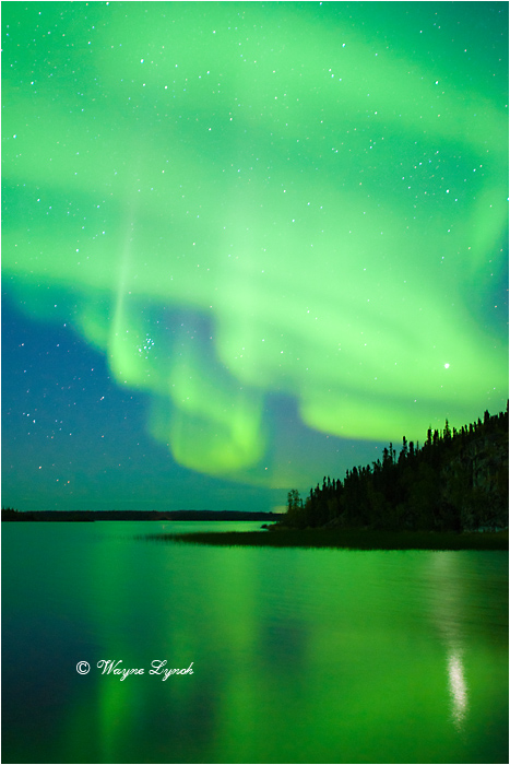 Aurora Borealis by Dr. Wayne Lynch &copy;